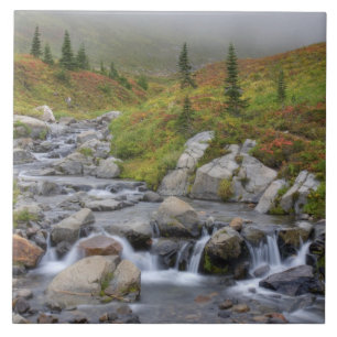 WA, Mt. Rainier National Park, Edith Creek Tile