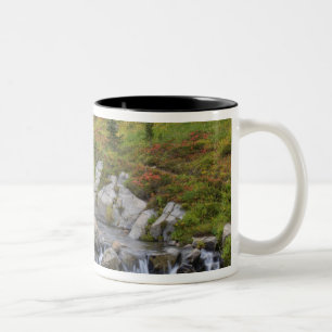 WA, Mt. Rainier National Park, Edith Creek Two-Tone Coffee Mug
