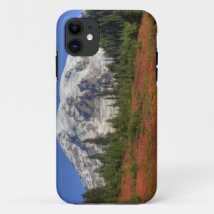 WA, Mt. Rainier National Park, Paradise Valley iPhone 11 Case