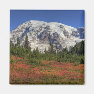 WA, Mt. Rainier National Park, Paradise Valley Magnet
