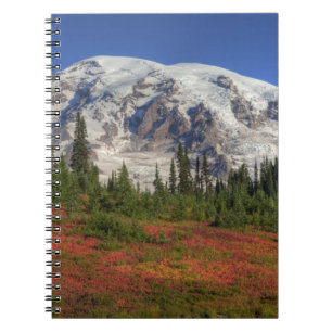 WA, Mt. Rainier National Park, Paradise Valley Notebook