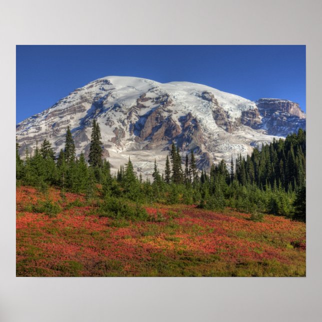 WA, Mt. Rainier National Park, Paradise Valley Poster (Front)
