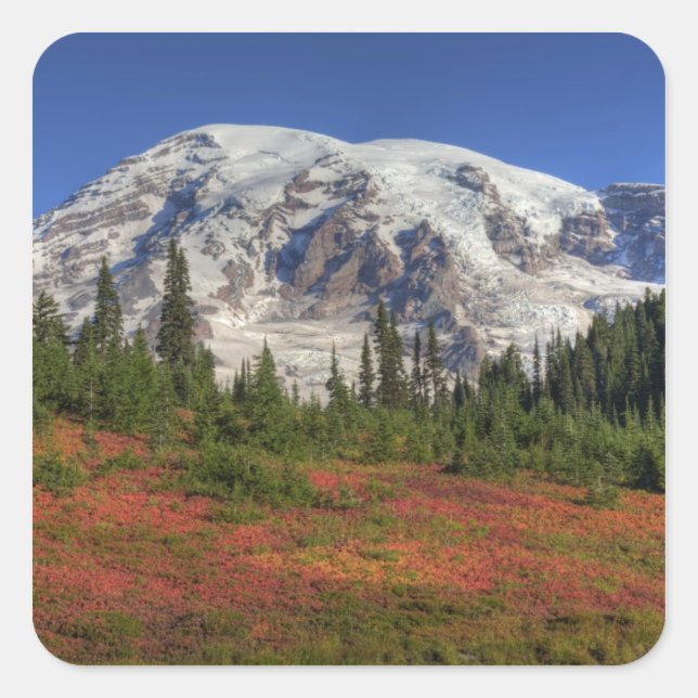 WA, Mt. Rainier National Park, Paradise Valley Square Sticker (Front)