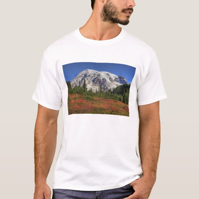 WA, Mt. Rainier National Park, Paradise Valley T-Shirt (Front)