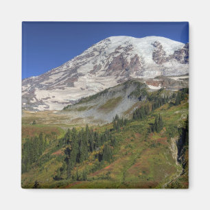 WA, Mt. Rainier National Park, view from the Magnet