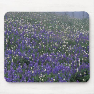 WA, Mt. Rainier NP, Lupine and Bistort meadow Mouse Mat
