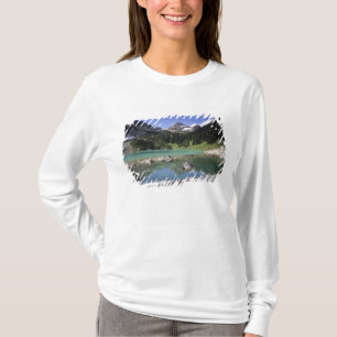WA, Okanogan NF, Lewis Lake and Black Peak T-Shirt