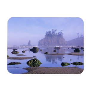 WA, Olympic National Park, Second Beach, Magnet