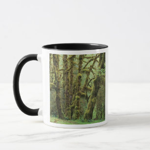 WA, Olympic NP, Hoh Rain Forest, Hall of Mug