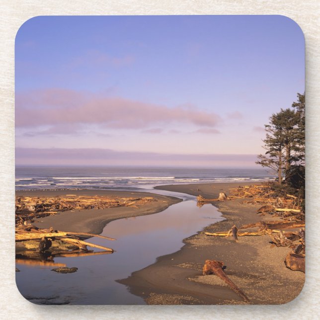 WA, Olympic NP, Kalaloch Beach and Kalaloch Coaster (Front)