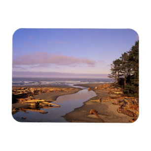 WA, Olympic NP, Kalaloch Beach and Kalaloch Magnet