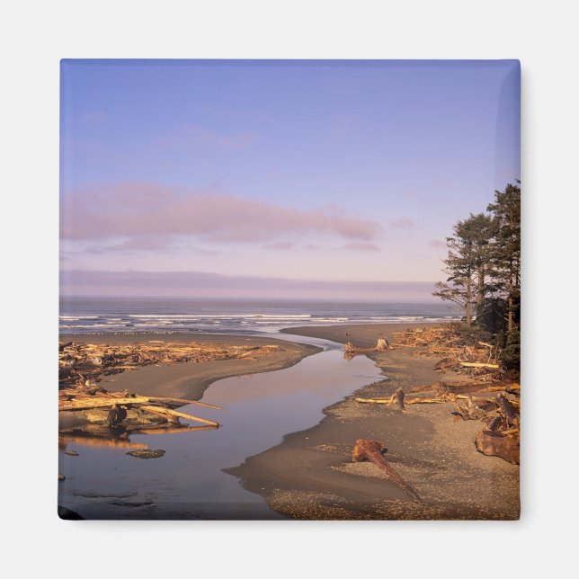 WA, Olympic NP, Kalaloch Beach and Kalaloch Magnet (Front)