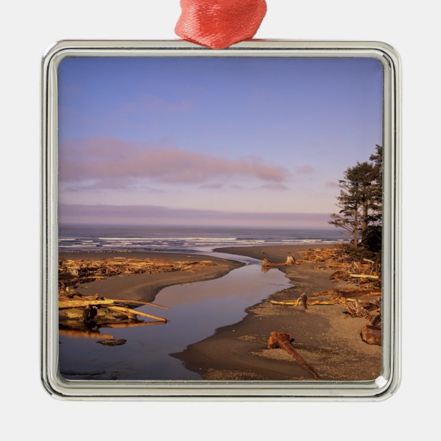 WA, Olympic NP, Kalaloch Beach and Kalaloch Metal Tree Decoration (Front)