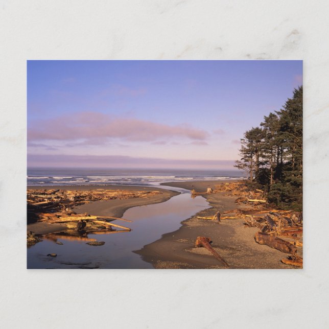 WA, Olympic NP, Kalaloch Beach and Kalaloch Postcard (Front)