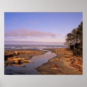 WA, Olympic NP, Kalaloch Beach and Kalaloch Poster