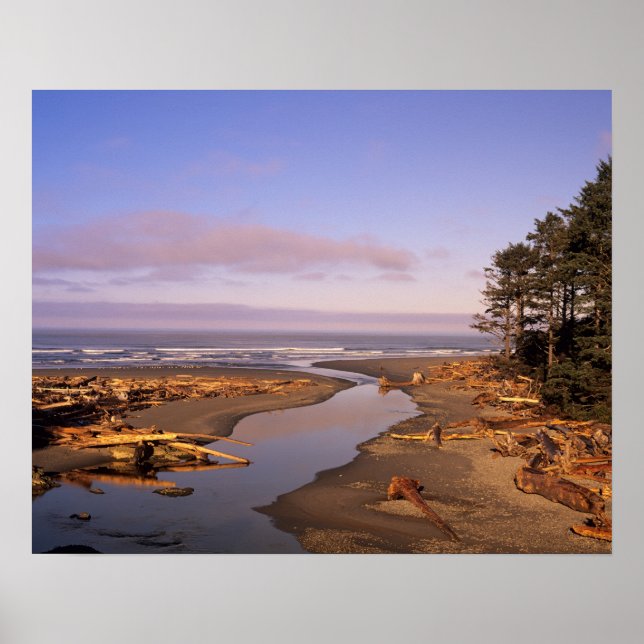 WA, Olympic NP, Kalaloch Beach and Kalaloch Poster (Front)