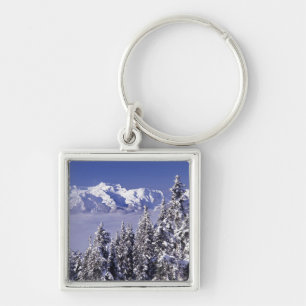 WA, Olympic NP, Olympic Mountain Range, view Key Ring
