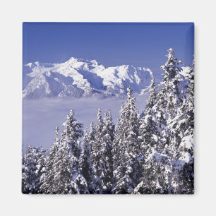 WA, Olympic NP, Olympic Mountain Range, view Magnet