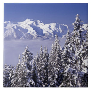 WA, Olympic NP, Olympic Mountain Range, view Tile