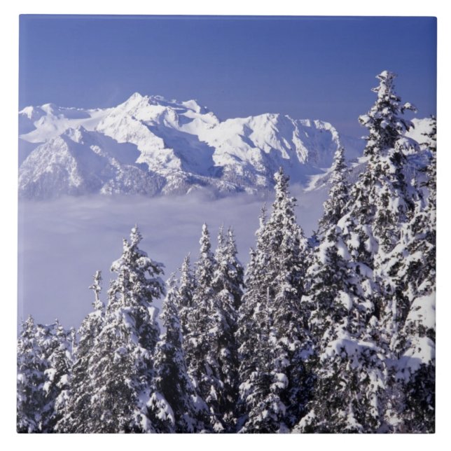 WA, Olympic NP, Olympic Mountain Range, view Tile (Front)