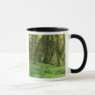 WA, Olympic NP, Quinault Rain Forest, moss Mug