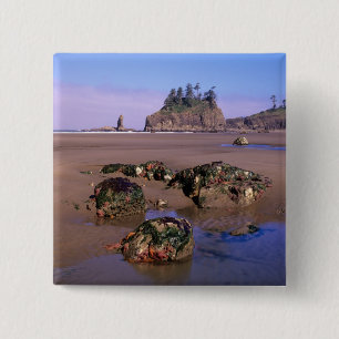 WA, Olympic NP, Second Beach with tidepools and 15 Cm Square Badge