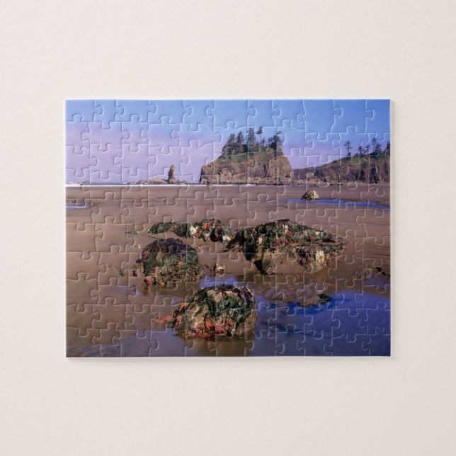 WA, Olympic NP, Second Beach with tidepools and Jigsaw Puzzle (Horizontal)