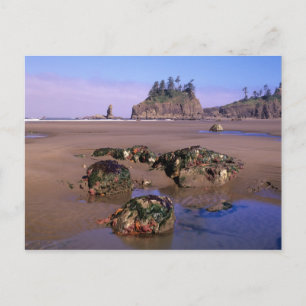 WA, Olympic NP, Second Beach with tidepools and Postcard