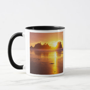 WA, Olympic NP, Shi Shi beach at sunset, Point Mug