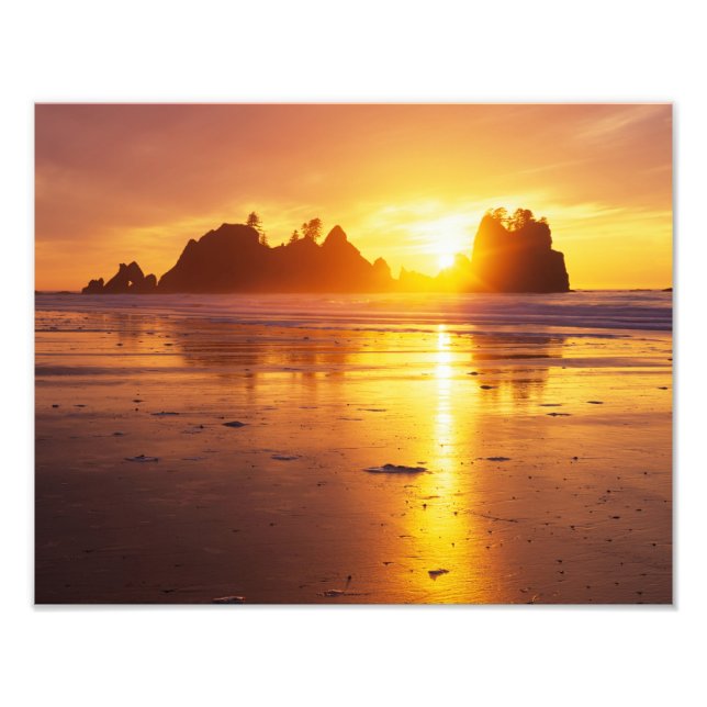 WA, Olympic NP, Shi Shi beach at sunset, Point Photo Print (Front)