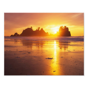 WA, Olympic NP, Shi Shi beach at sunset, Point Photo Print