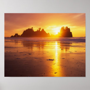 WA, Olympic NP, Shi Shi beach at sunset, Point Poster