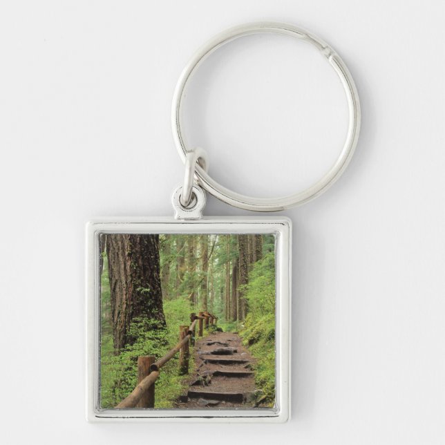 WA, Olympic NP, Sol Duc Valley, rainforest Key Ring (Front)