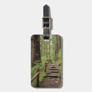 WA, Olympic NP, Sol Duc Valley, rainforest Luggage Tag