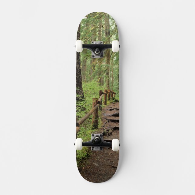 WA, Olympic NP, Sol Duc Valley, rainforest Skateboard (Front)