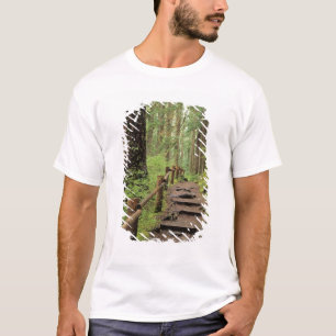 WA, Olympic NP, Sol Duc Valley, rainforest T-Shirt
