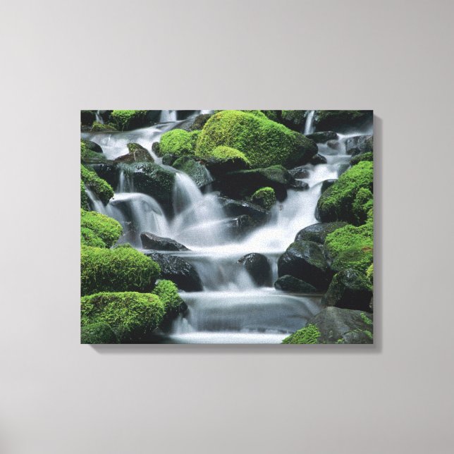 WA, Olympic NP, Sol Duc Valley, stream with Canvas Print (Front)
