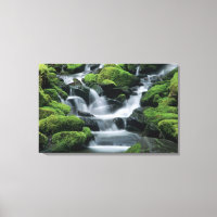 WA, Olympic NP, Sol Duc Valley, stream with
