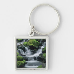 WA, Olympic NP, Sol Duc Valley, stream with Key Ring