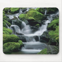 WA, Olympic NP, Sol Duc Valley, stream with