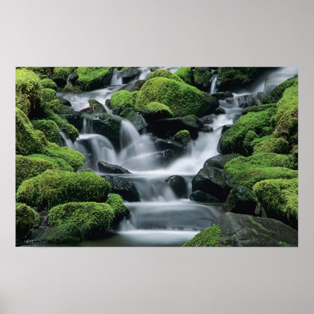 WA, Olympic NP, Sol Duc Valley, stream with Poster (Front)