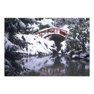 WA, Seattle, Moon bridge and pond after winter Photo Print