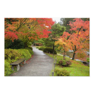 WA, Seattle, Washington Park Arboretum, 2 Photo Print