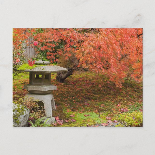 WA, Seattle, Washington Park Arboretum, Japanese 2 Postcard (Front)