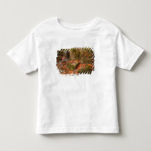 WA, Seattle, Washington Park Arboretum, Japanese Toddler T-Shirt