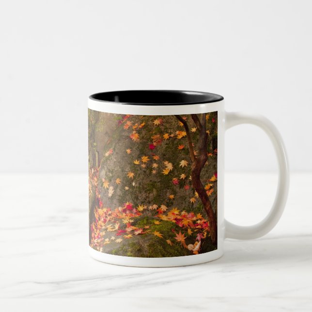 WA, Seattle, Washington Park Arboretum, Japanese Two-Tone Coffee Mug (Right)