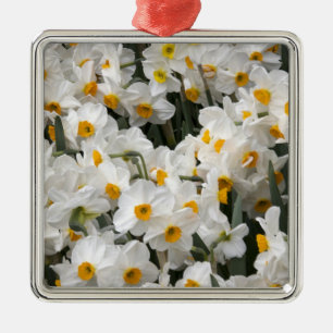 WA, Skagit Valley, Daffodil pattern Metal Tree Decoration