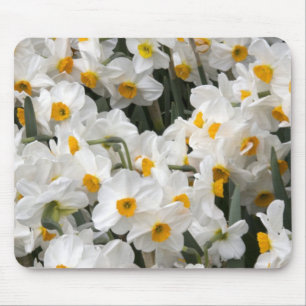 WA, Skagit Valley, Daffodil pattern Mouse Mat