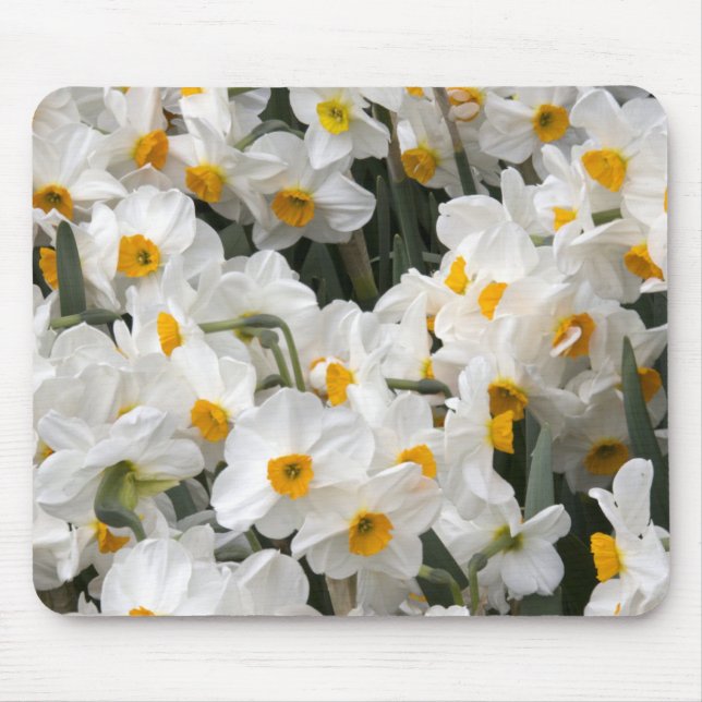 WA, Skagit Valley, Daffodil pattern Mouse Mat (Front)