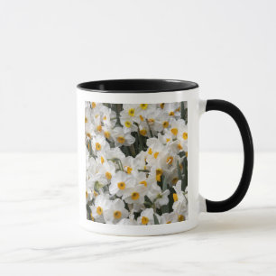 WA, Skagit Valley, Daffodil pattern Mug